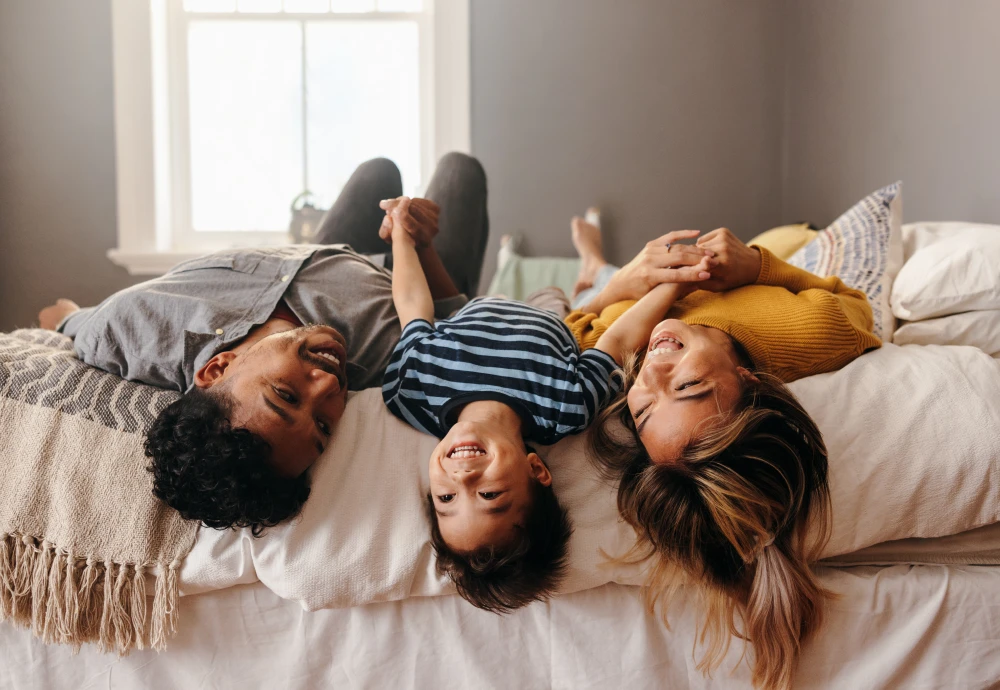 smart bed couch